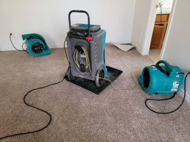  Chetopa, KS Water damage restoration Pros