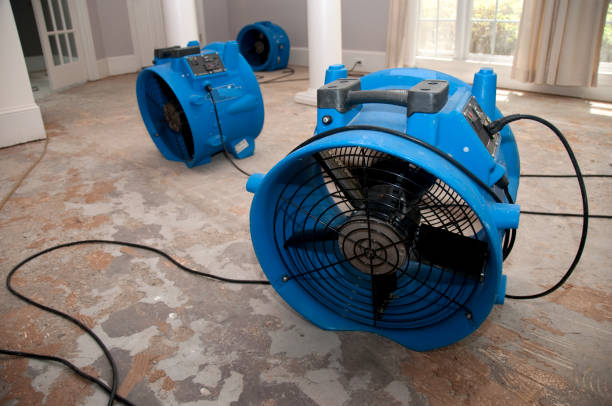 Carpet water damage restoration in Chetopa, KS